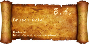 Brusch Ariel névjegykártya